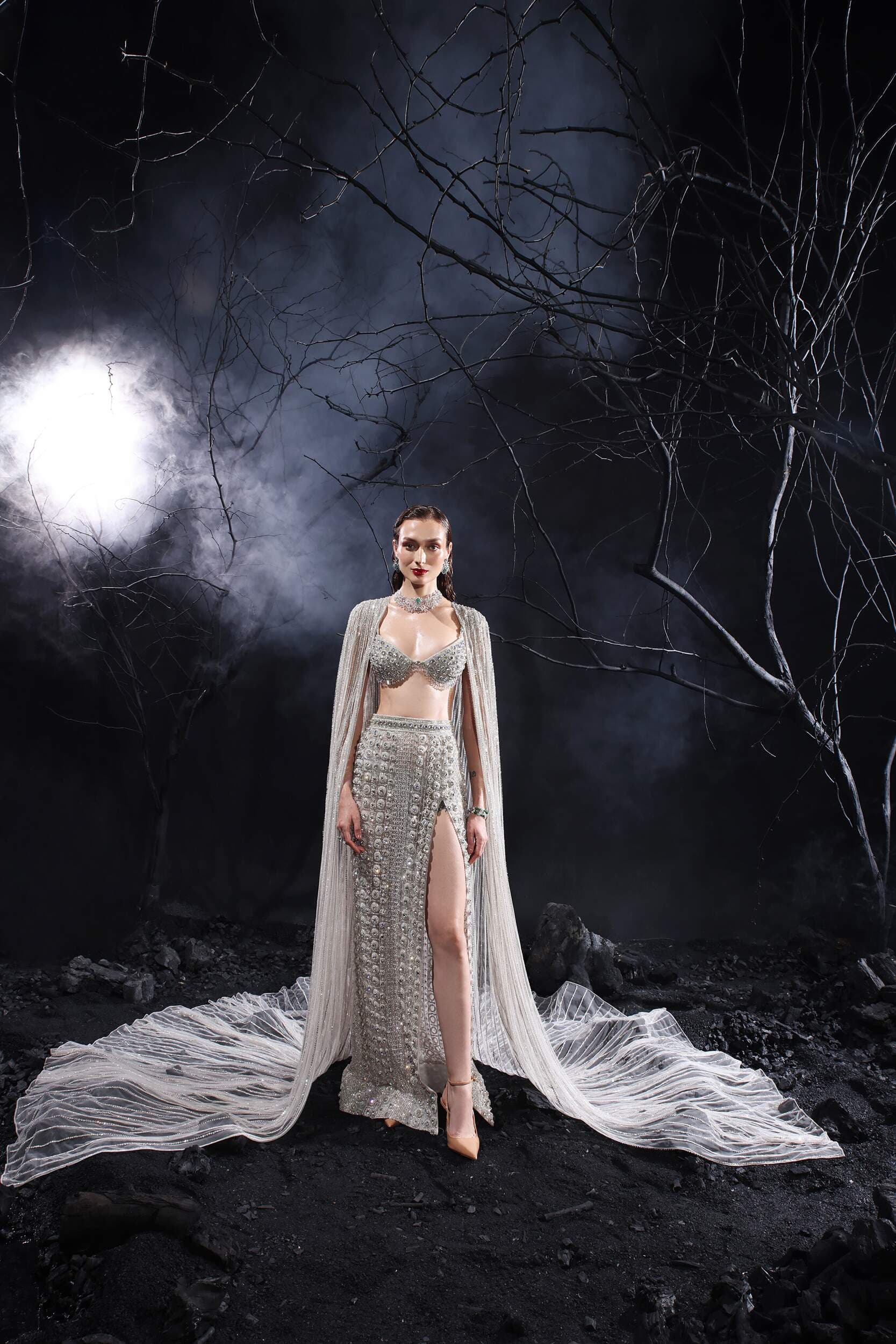 Silver Straight Skirt Set with Bralette Blouse & Shoulder Cape