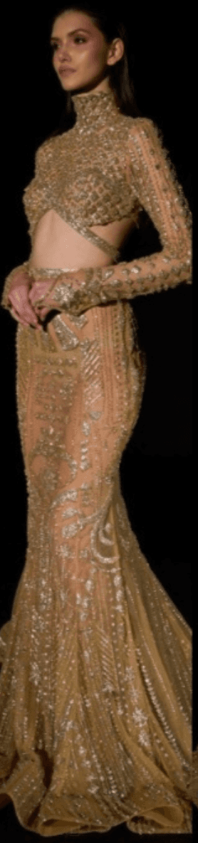 Light Gold Mermaid Lehenga Set