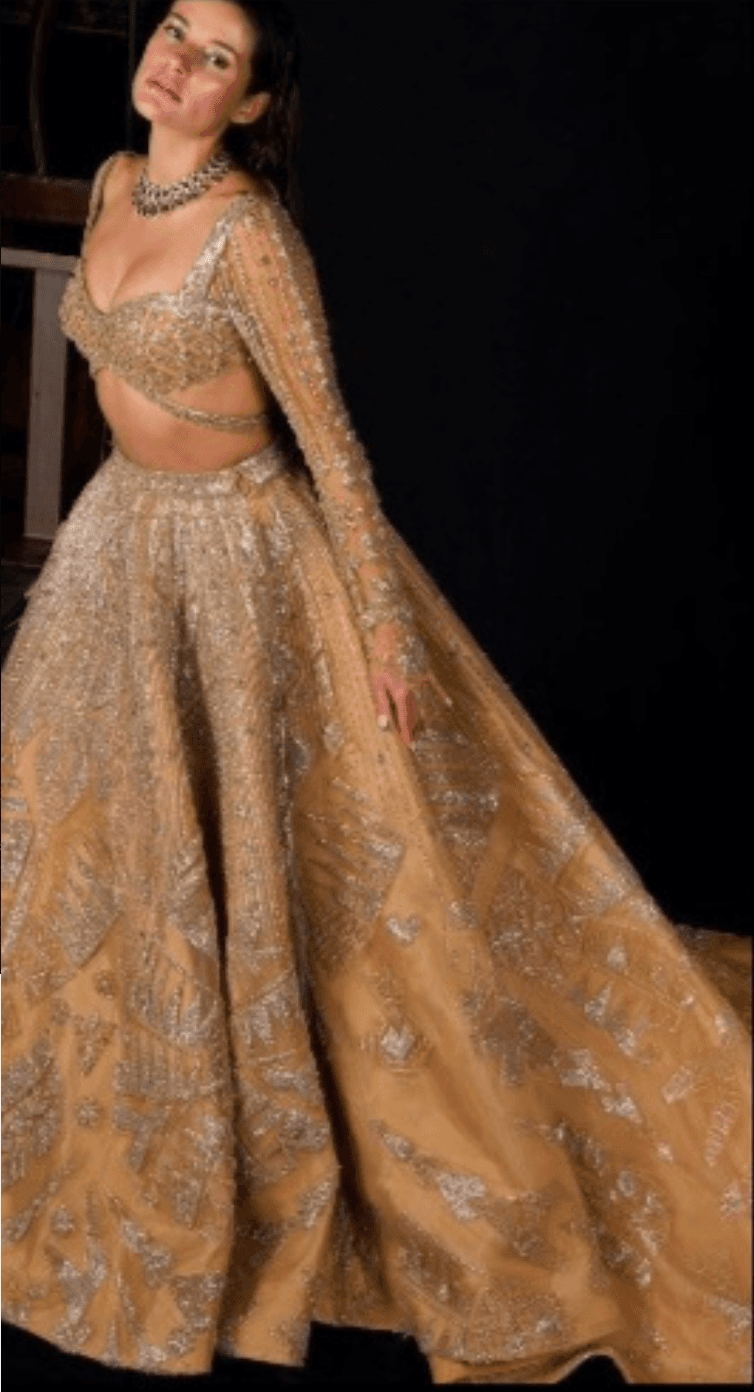 Light Gold Flared Lehenga Set